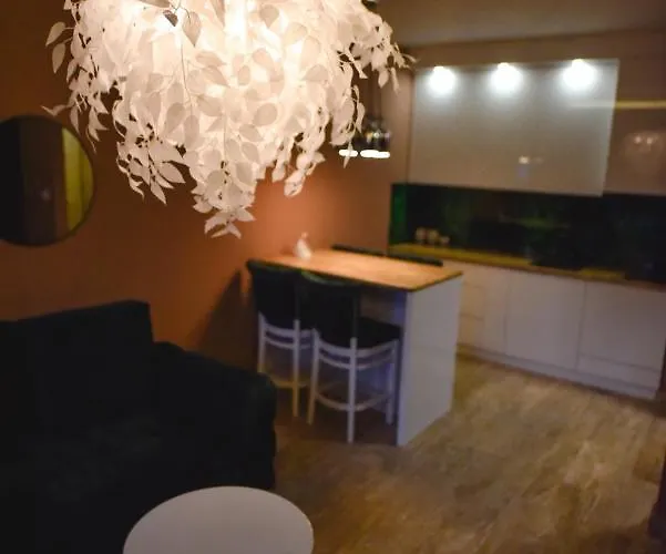 Viking Gold 2 公寓 兹拉蒂博尔