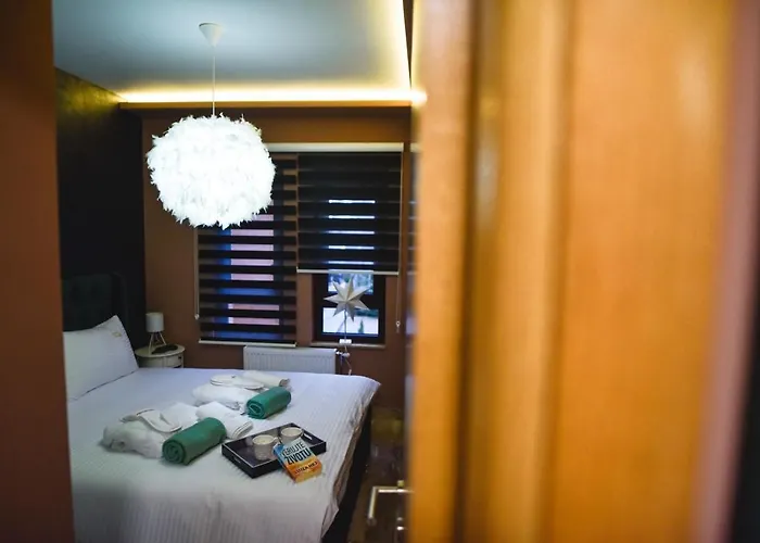 Viking Gold 2 公寓 兹拉蒂博尔